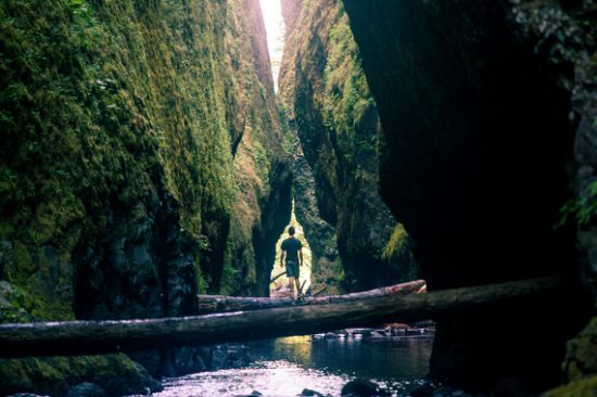natural landscape