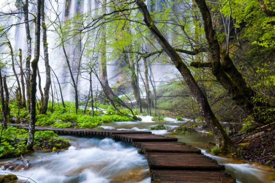 natural landscape