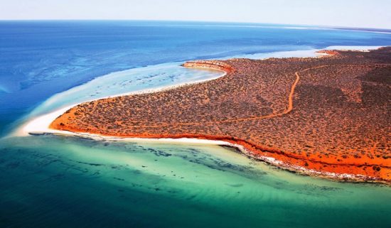 Shark Bay, Australia