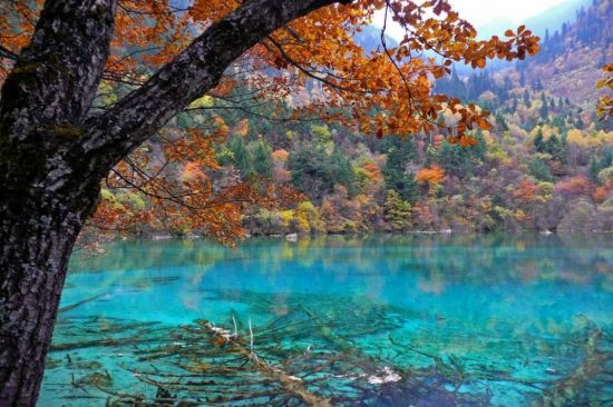 Lake five flowers, China