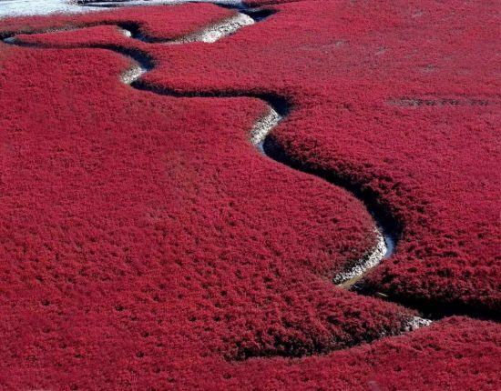 Red Beach, China