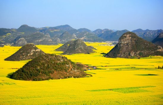 Lupin, China