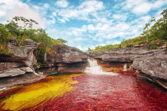 The river Caño Cristales, Colombia