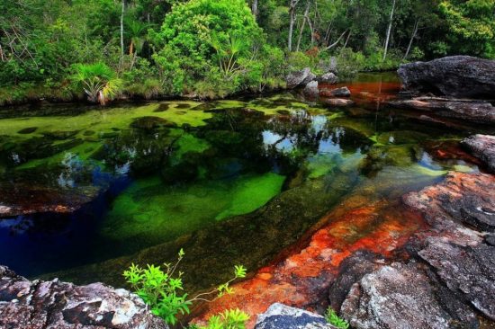 The river Caño Cristales, Colombia